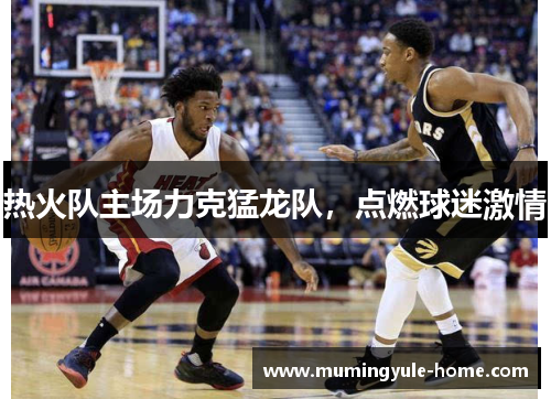 热火队主场力克猛龙队，点燃球迷激情