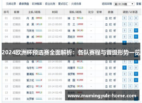 2024欧洲杯预选赛全面解析：各队赛程与晋级形势一览