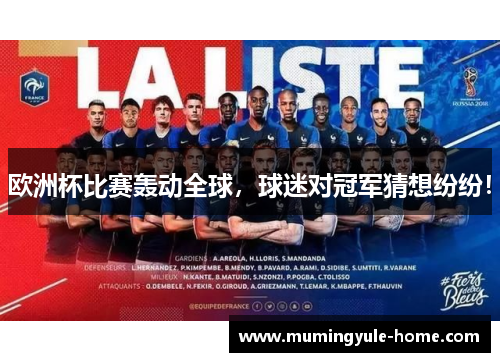 欧洲杯比赛轰动全球，球迷对冠军猜想纷纷！