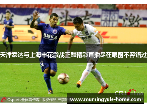 天津泰达与上海申花激战正酣精彩直播尽在眼前不容错过